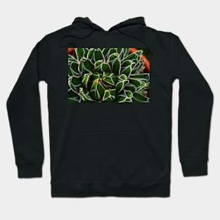 Succulent. Hoodie